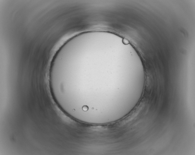 X0000113031478200909101848