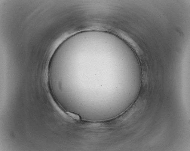 X0000113031479200909101847