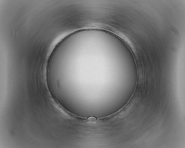 X0000113031480200909101847