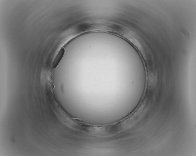 X0000113031481200909101847