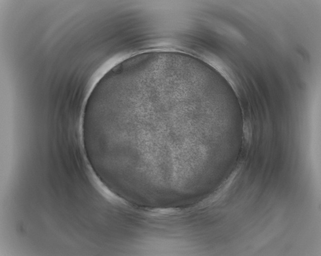 X0000113031482200909101847