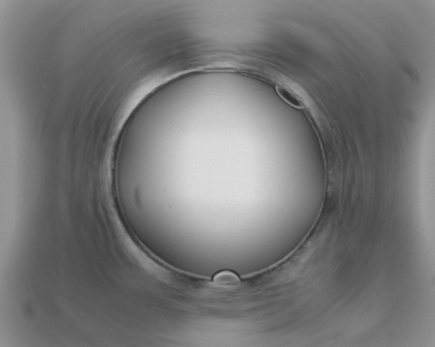 X0000113031483200909101847