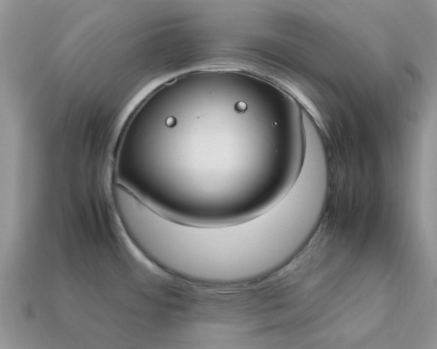 X0000113031484200909101847