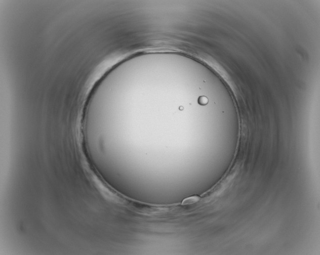 X0000113031485200909101847