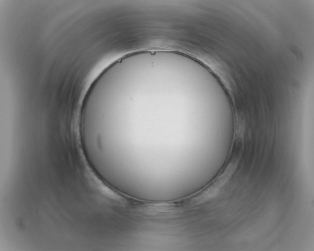 X0000113031486200909101847