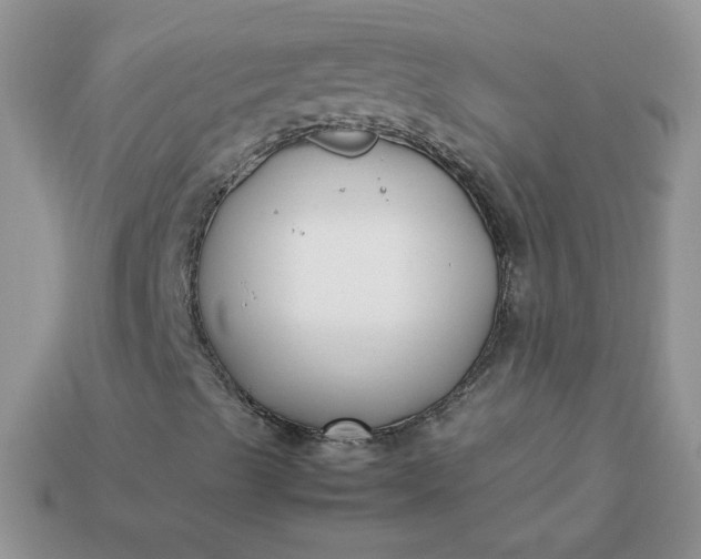 X0000113031489200909101847