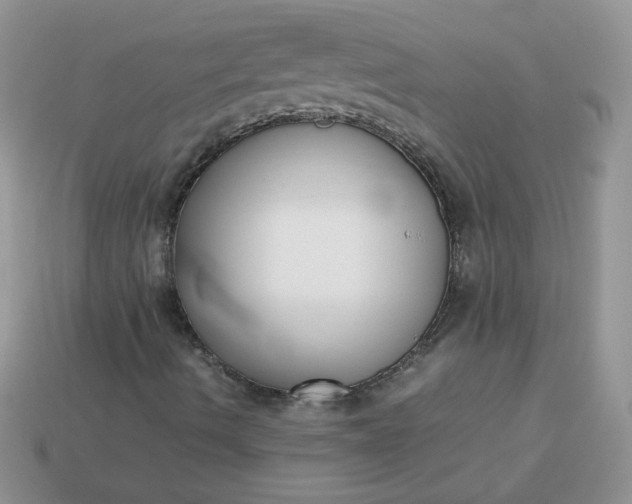 X0000113031490200909101847