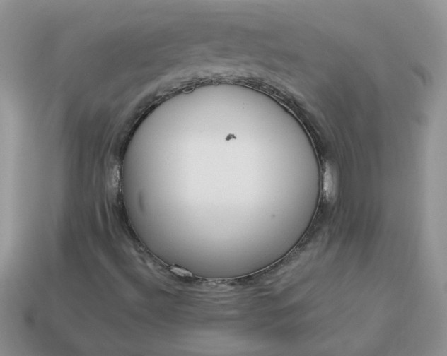 X0000113031492200909101847