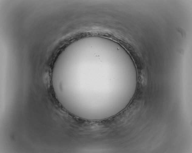 X0000113031493200909101847