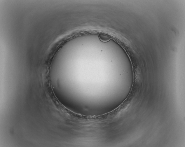 X0000113031494200909101847