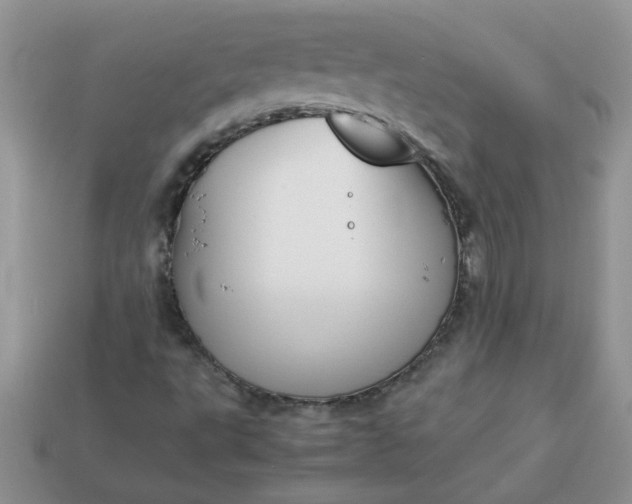 X0000113031495200909101847