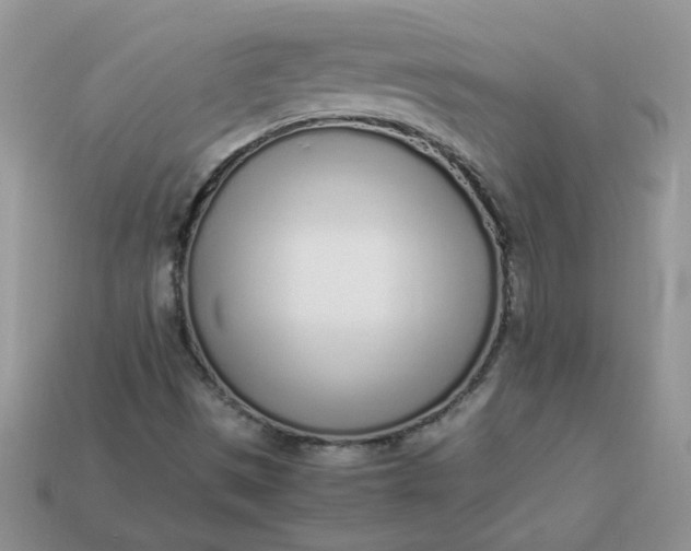 X0000113031497200909101847