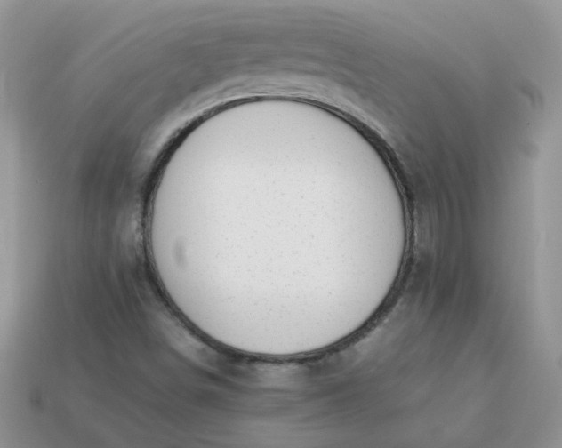 X0000113031498200909101847