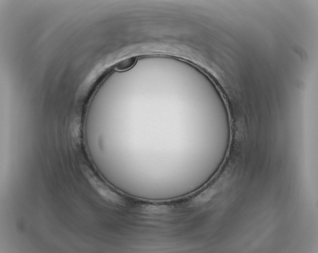 X0000113031499200909101847