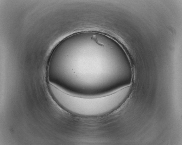 X0000113031500200909101847