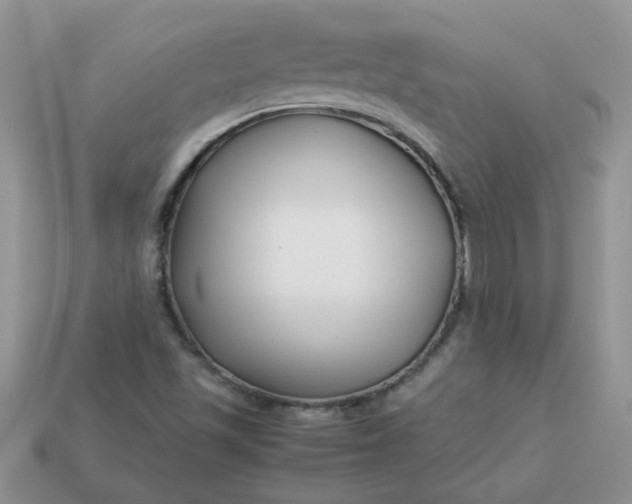 X0000113031501200909101847