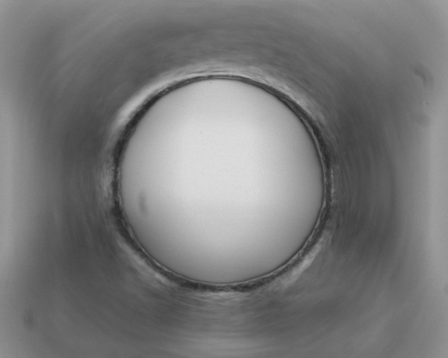 X0000113031502200909101847