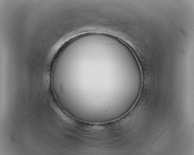 X0000113031503200909101847