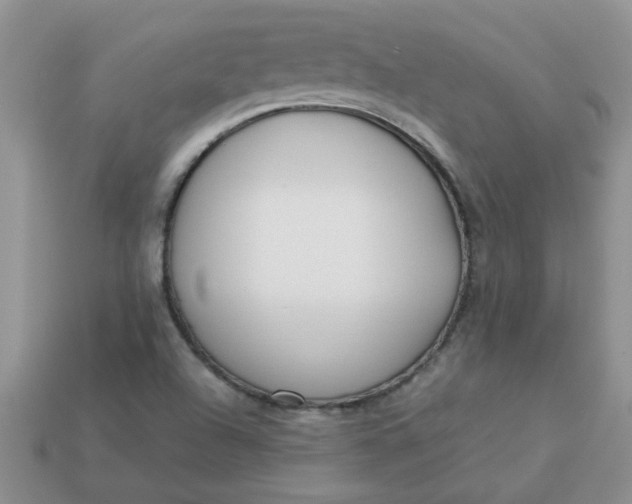 X0000113031504200909101847