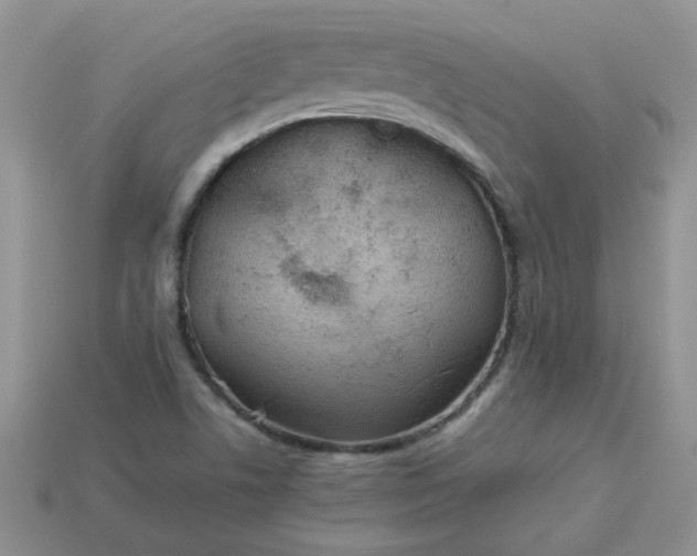 X0000113031506200909101847