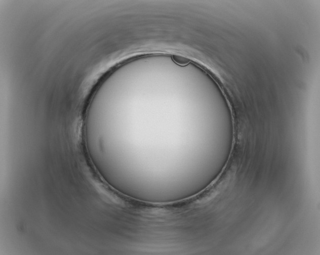 X0000113031507200909101847