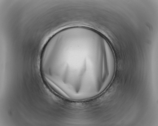 X0000113031508200909101847