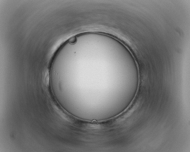 X0000113031509200909101847