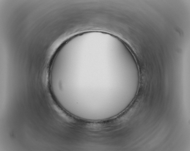 X0000113031511200909101847