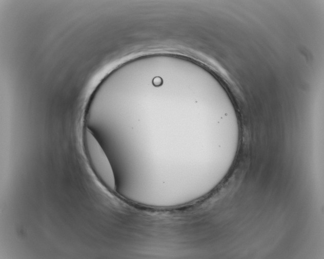 X0000113031512200909101847