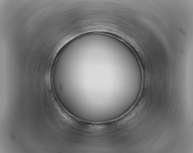 X0000113031513200909101847