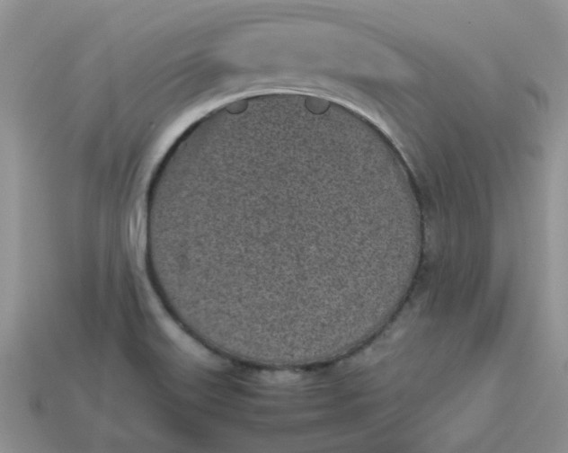 X0000113031515200909101847