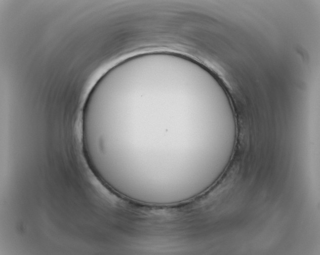 X0000113031516200909101847