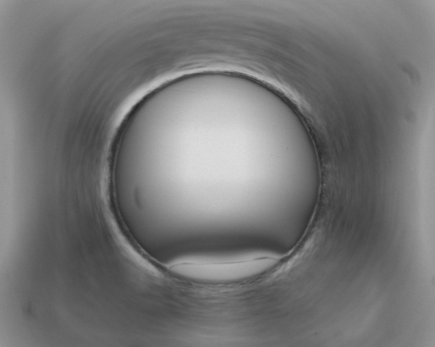 X0000113031518200909101847