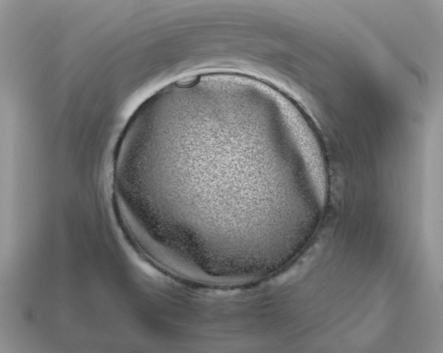 X0000113031519200909101847