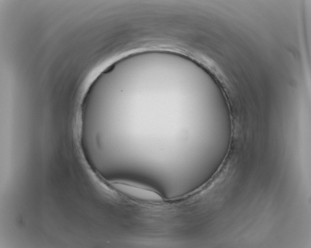 X0000113031520200909101847