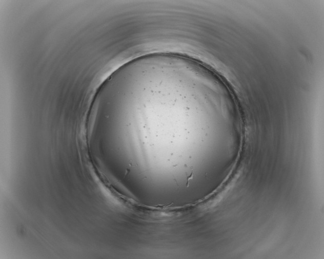 X0000113031521200909101847