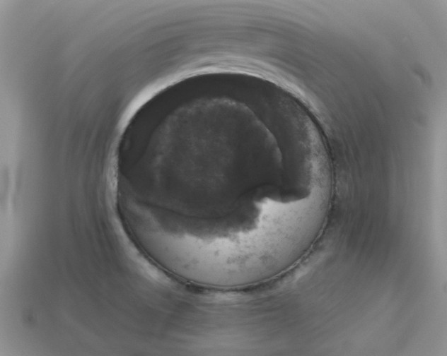 X0000113031522200909101847