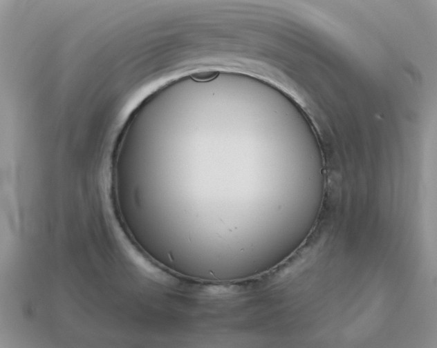 X0000113031523200909101847