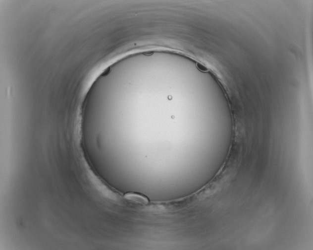 X0000113031524200909101847