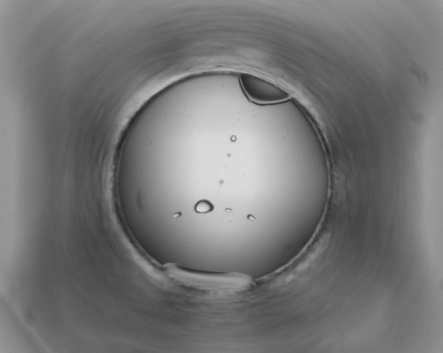 X0000113031525200909101847