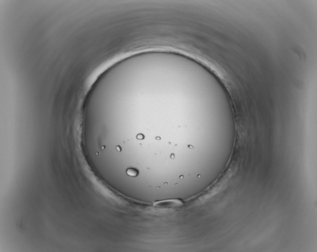 X0000113031526200909101847