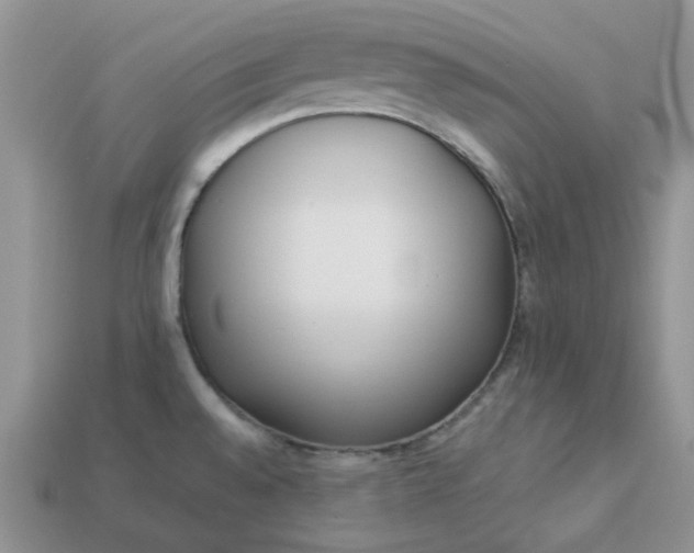 X0000113031528200909101847