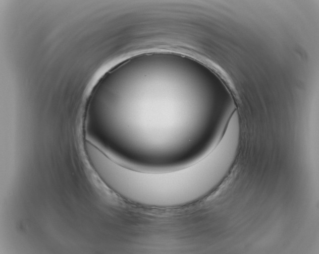 X0000113031530200909101847