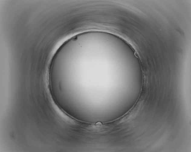 X0000113031531200909101847