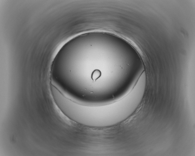 X0000113031532200909101847