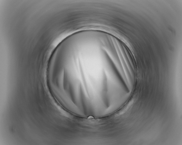 X0000113031533200909101847