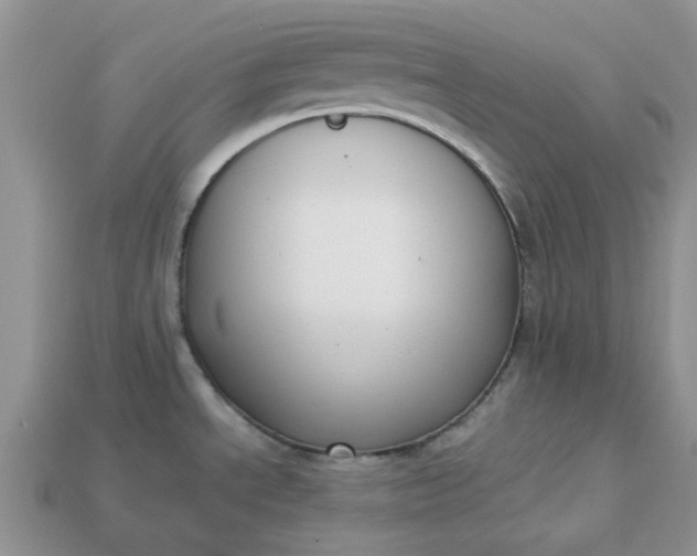 X0000113031534200909101847