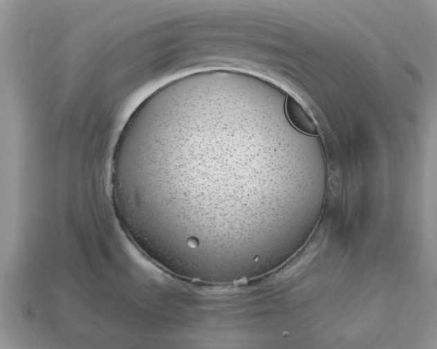 X0000113031535200909101847