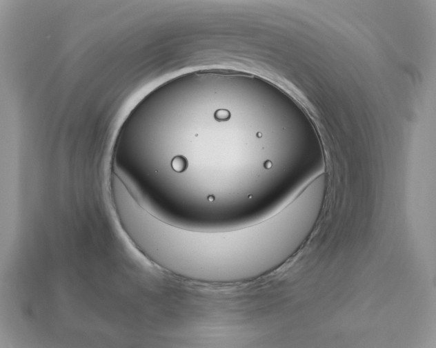 X0000113031536200909101847