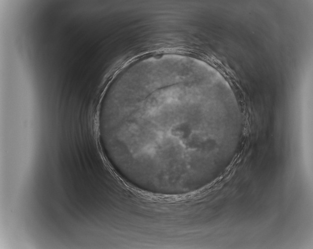 X0000113030002200909171510